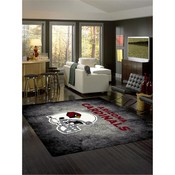 Arizona Cardinals 8'x11' Distressed Rug, 530-5029
