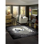 Los Angeles Chargers 8'x11' Distressed Rug, 530-5036