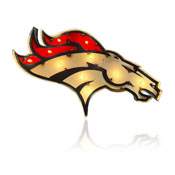 Denver Broncos Logo Lighted Recycled Metal Sign, 545-1003