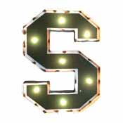 Michigan State