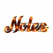Florida State-Noles Lighted Recycled Metal Sign , 546-3003
