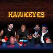 Univ of Iowa-Hawkeyes Lighted Recycled Metal Sign, 546-3018