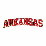 Univ Of Arkansas-Arkansas Lighted Recycled Metal Sign, 546-3122