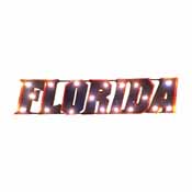 Univ of Florida-Florida Lighted Recycled Metal Sign, 546-3126