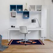 Chicago Bears 3x4  Area  Rug, 569-1019