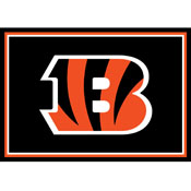 Cincinnati Bengals 3x4  Area  Rug, 569-1023