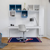 Houston Texans 3x4  Area  Rug, 569-1034