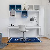 Tampa Bay Devil Rays 3x4  Area  Rug, 569-2019