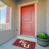 Florida State 3x4  Area  Rug, 569-3003