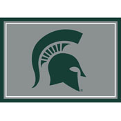 Michigan State 3x4  Area  Rug, 569-3016