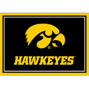 University Of Iowa 3x4  Area  Rug, 569-3018