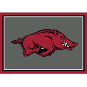 University Of Arkansas 3x4  Area  Rug, 569-3022