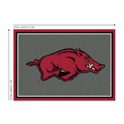 University Of Arkansas 3x4  Area  Rug, 569-3022