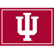 Indiana University 3x4  Area  Rug, 569-3029