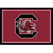 University Of South Carolina 3x4  Area  Rug, 569-3036