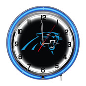 Carolina Panthers 18