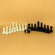 Green Bay Packers Magnetic Chess Set, 689-1001