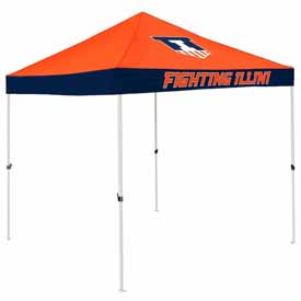 Illinois Economy Canopy, 151-39E