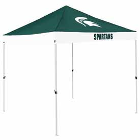 MI State Economy Canopy, 172-39E