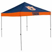 Auburn Economy Canopy, 110-39E