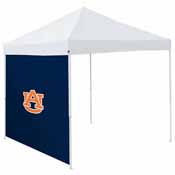 Auburn 9 x 9 Side Panel, 110-48