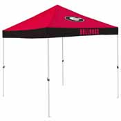 Georgia Economy Canopy, 142-39E