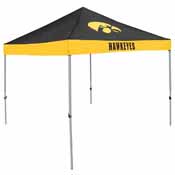 Iowa Economy Canopy, 155-39E