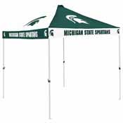 MI State CB Canopy, 172-42C