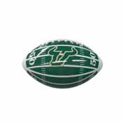 South Florida Field Mini-Size Glossy Football, 211-93MG-2