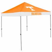 Tennessee Economy Canopy, 217-39E