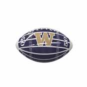 Washington Field Mini-Size Glossy Football, 237-93MG-2
