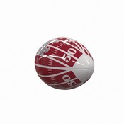 WA State Field Mini-Size Glossy Football, 238-93MG-2