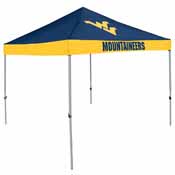 West Virginia Economy Canopy, 239-39E