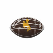 Wyoming Field Mini-Size Glossy Football, 245-93MG-2