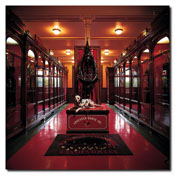 Budweiser 'Clydesdale Historic Museum' Canvas Art, AB251-C2424GG
