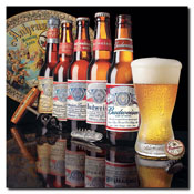 Budweiser - 5 Generations of Bottles - Canvas 18 x 18 Inch, AB390-C1818GG