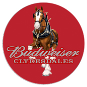 Budweiser Swivel Bar Stool with Back - Clydesdale Red, AB1100-CLY-R